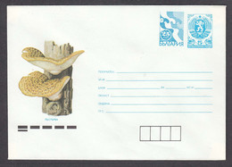 PS 1123/1991 - Mint, Mushrooms , Post. Stationery - Bulgaria - Buste
