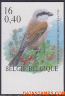 België 2000 - Mi:2931, Yv:2885, OBP:2885, Stamp - □ - Birds Gray Shrike - 1981-2000