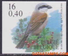 België 2000 - Mi:2982, Yv:2933, OBP:2931, Stamp - □ - Birds Gray Shrike - 1981-2000