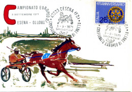 TEMATICA CAVALLI - HORSES - Cartolina, Campionato Europeo Di Trotto, Sport, Cesena - Chevaux
