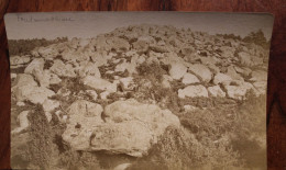 Photo 1890's Fontainebleau Tirage Albuminé Albumen Print Vintage - Places