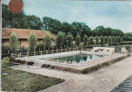 Delcampe - 24 - Carte Postale Semi Moderne De  RIBERAC   La Piscine  Colonie De Vacances SNCF - Riberac