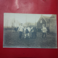 CARTE PHOTO MILITARIA SOLDATS ET VACHES LIEU A IDENTIFIER - Da Identificare