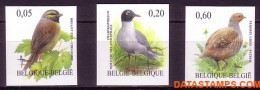 België 2005 - Mi:3427/3429, Yv:3363/3365, OBP:3379/3381, Stamp - □ - Birds Cirlgors, Black-headed Gull, Partridge - 2001-…