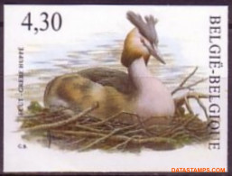 België 2006 - Mi:3586, Yv:3518, OBP:3538, Stamp - □ - Birds Grebe - 2001-…