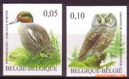 België 2007 - Mi:3673/3674, Yv:3608/3609, OBP:3623/3624, Stamp - □ - Birds Teal, Shaggy Owl - 2001-…