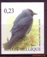 België 2007 - Mi:3680, Yv:3615, OBP:3625, Stamp - □ - Birds Chew - 2001-…