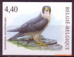 België 2008 - Mi:3798, Yv:3733, OBP:3751, Stamp - □ - Birds Peregrine Falcon - 2001-…