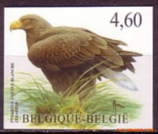 België 2009 - Mi:3917, Yv:3852, OBP:3871, Stamp - □ - Birds Bald Eagle - 2001-…