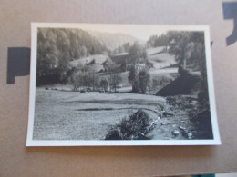 CARTE PHOTO PAYSAGE EN FORET NOIRE AUX ENVIRONS DE TODTMOOS OCTOBRE 1953 ( ALLEMAGNE GERMANY ) - Todtmoos