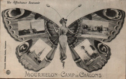 N°115458 -cpa Mourmelon -Camp De Châlons - - Papillons