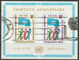 UNO New York 1975 MiNr.283 - 284  Block 6 O Gestempelt 30 Jahre UNO ( EK192/3 ) - Blocs-feuillets