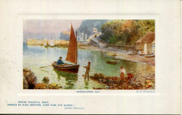 TUCKS OILETTE - WIMBUSH 9724 - GLORIOUS DEVON - BABBACOMBE BAY - Wimbush