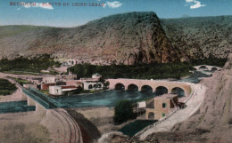 Beyrouth - Fleuve Du Chien Leban - Ligne Du Chemin De Fer - Liban Lebanon - Libano