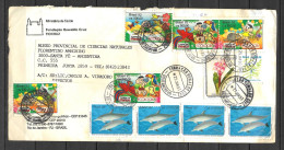 Brazil Cover With Ecology & Dolphin Stamps , Circulated - Usados