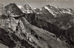 SUISSE - Bern - Schynige Platte : Eiger, Mönch, Jungfrau - Carte Postale Ancienne - Berne