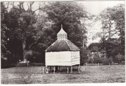 Groeten Uit Echten - Duiventil - (Drenthe, Nederland/Holland) - Autres & Non Classés