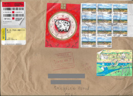 Argentina Jumbo Registered Cover With Recent Year Of The Pig , Energy And Pampa Park Stamps Sent To Peru - Gebruikt