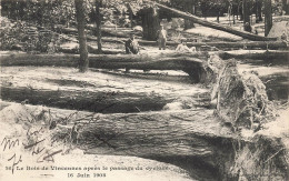 Paris * 12ème * Le Bois De Vincennes Après Le Passage Du Cyclone Le 16 Juin 1908 - Arrondissement: 12