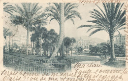 FRANCE - Nice - Les Nouveaux Jardins - Carte Postale Ancienne - Parks, Gärten