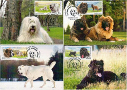 Russia Russland Russie 2015 Fauna Service Dogs Breeds Set Of 4 Maxicards - Maximumkaarten