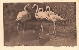 ANIMAUX - Flamingo - Tierfudien AJW  De Veer - Carte Postale Ancienne - Autres & Non Classés