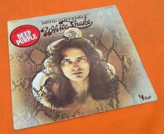 (pochette Seule Sans Vinyle) Deep Purple David Coverdale White Snake (1977) - Hard Rock & Metal