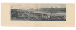 31736 - Panorama Von Meilen Circulée 1906 Carte Double - Meilen