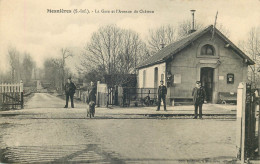 SEINE MARITIME  MESNIERES   La Gare Et Avenue Du Chateau - Mesnières-en-Bray