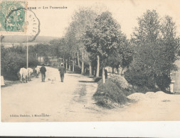 58 // MONTSAUCHE    Les Promenades  ** - Montsauche Les Settons