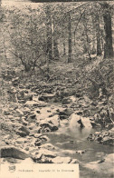 BELGIQUE - St Hubert - Cascade De La Doneuse - Carte Postale Ancienne - Saint-Hubert