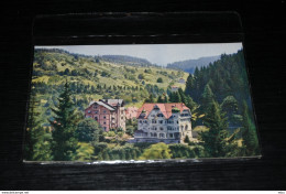 A8832     TRIBERG, SCHWARZWALD-HOTEL - Triberg