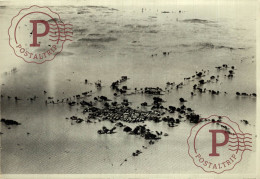 CHINE CHINA  1931 China Floods 1931 Yangtze–Huai River Floods 18*13CM HINGHWO YANGTSEKIANG YANGTSE KIANG FLOODS - Asie