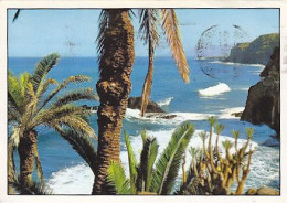 AK 175728 SPAIN - Islas Canarias - Andere & Zonder Classificatie