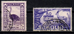 1950 - Italia - Somalia AFIS 9 + E 2 Pittorica    ------- - Somalie (AFIS)