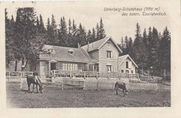 AK - NÖ - Das Alte Unterberg Schutzhaus Des Österr. Touristenclub - 1914 - Gutenstein