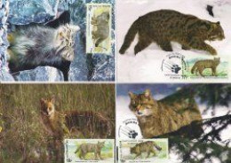 Russia 2014 Fauna Of Russia Wild Cats Set Of 4 Maxicards - Tarjetas Máxima