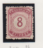 Noorwegen Lokale Zegel   Katalog Over Norges Byposter Trondhjem Bypost 36 - Local Post Stamps