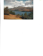 Scotland  - Postcard Unused -  J.Arthur Dixon - Ben Lomond From The Banks Of Loch Lomond Near Luss - Inverness-shire