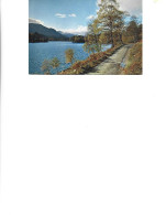Scoland  - Postcard Unused -  J.Arthur Dixon - Loch Beneveian, Glen Afric.,Inverness - Shire - Inverness-shire