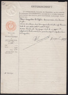 LOT VAN 2 AKTEN GETUIGSCHRIFTEN OVER EIGENDOMMEN VAN INWONERS VAN LOKEREN 1909 - Documenti Storici