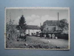 Laiches Chassepierre - Abreuvoir à Laiches - Chassepierre