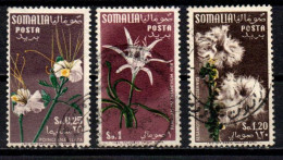 1955 - Italia - Somalia AFIS 30 + 32/33 Fiori   ------- - Somalia (AFIS)
