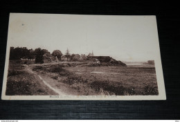 A8906      MUIDES, LE PAYS, VU DES BORDS DE LA LOIRE - Altri & Non Classificati