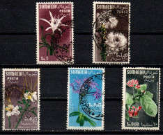 1955 - Italia - Somalia AFIS 28 + 30/33 Fiori   ------- - Somalië (AFIS)