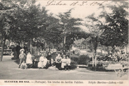 ALCACER DO SAL - Um Trecho Do Jardim Publico (Ed. F. A- Martins. Nº 140) - PORTUGAL - Setúbal