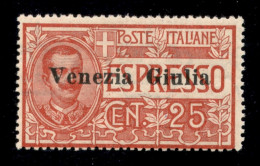 Occupazioni I Guerra Mondiale - Venezia Giulia - 1919 - 25 Cent (1) - Gomma Integra (625) - Andere & Zonder Classificatie