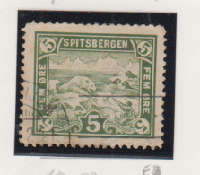 Noorwegen Lokale Zegel   Katalog Over Norges Byposter Spitsbergen Bypost E9 - Local Post Stamps