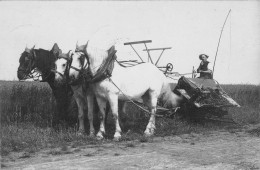 CPA 28 BEAUCE / UNE MOISSONNEUSE LIEUSE / CARTE PHOTO / SCENE D'AGRICULTURE - Other & Unclassified