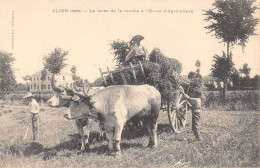 CPA 36 CLION / LA LEVEE DE LA RECOLTE A L'ECOLE D'AGRICULTURE - Otros & Sin Clasificación